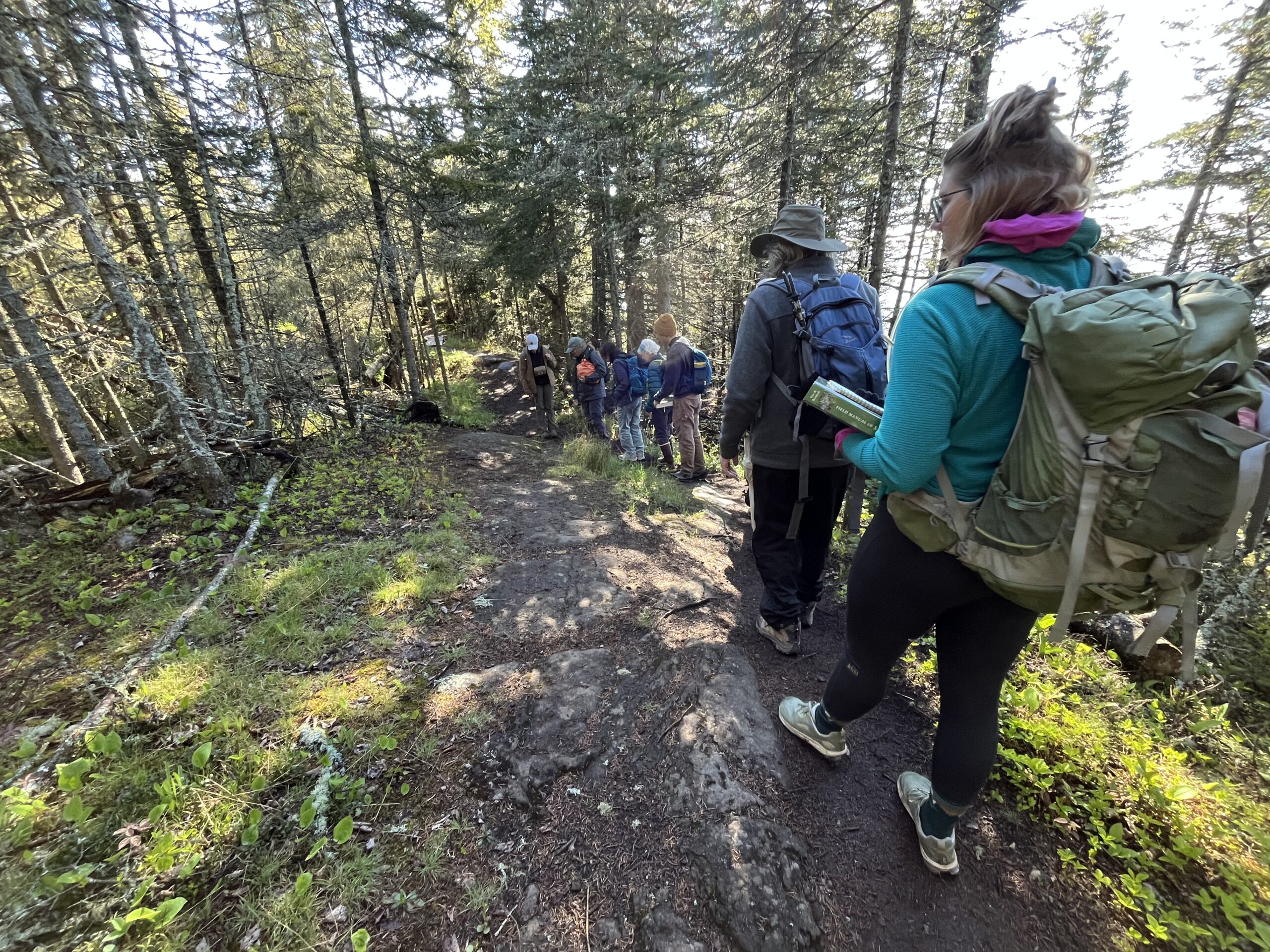 Isle Royale 3.0 D7 - Botany