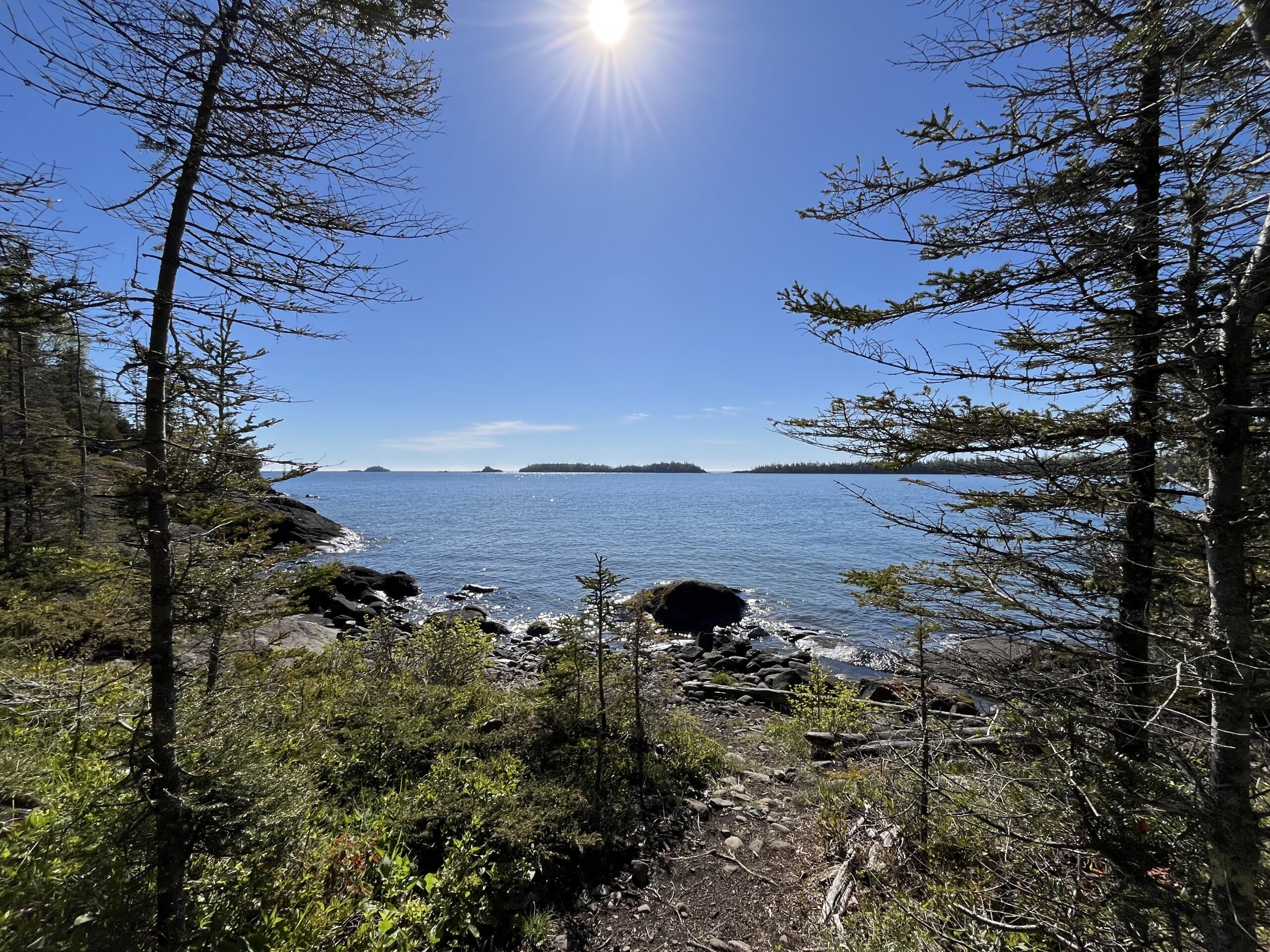 Isle Royale 3.0 D7 - Botany