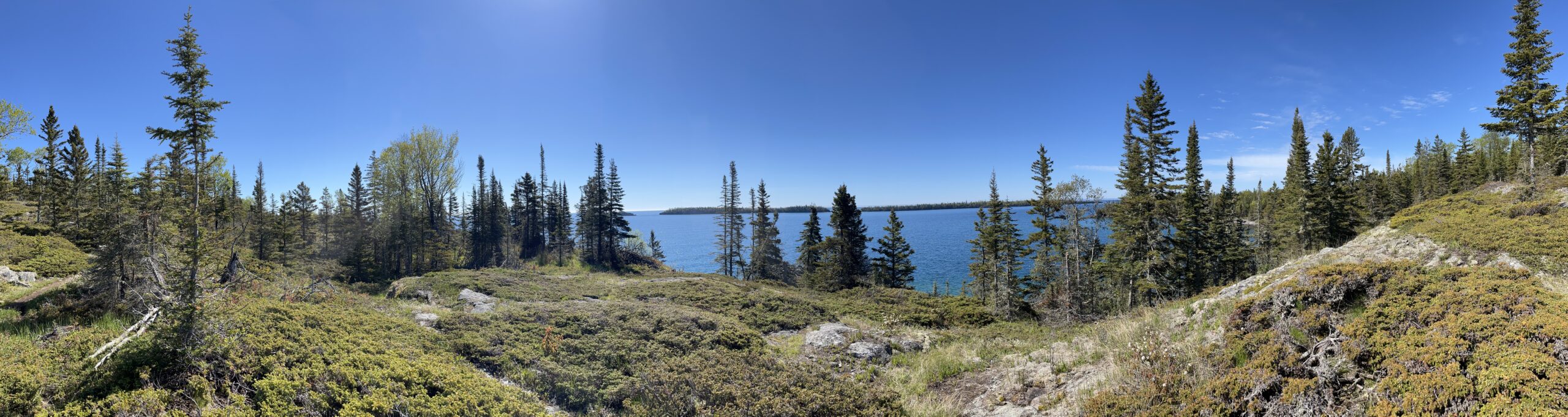 Isle Royale 3.0 D7 - Botany