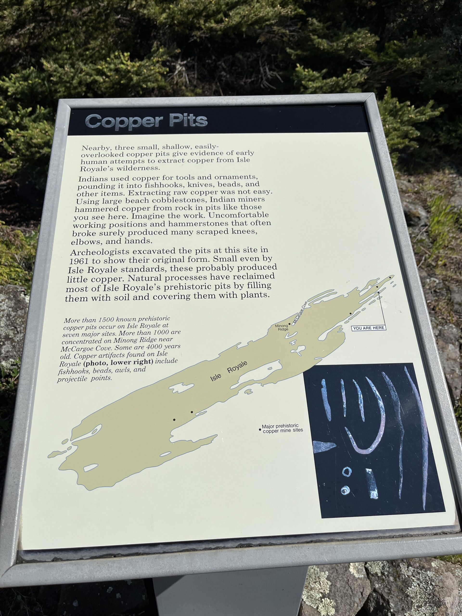 Isle Royale 3.0 D7 - Botany