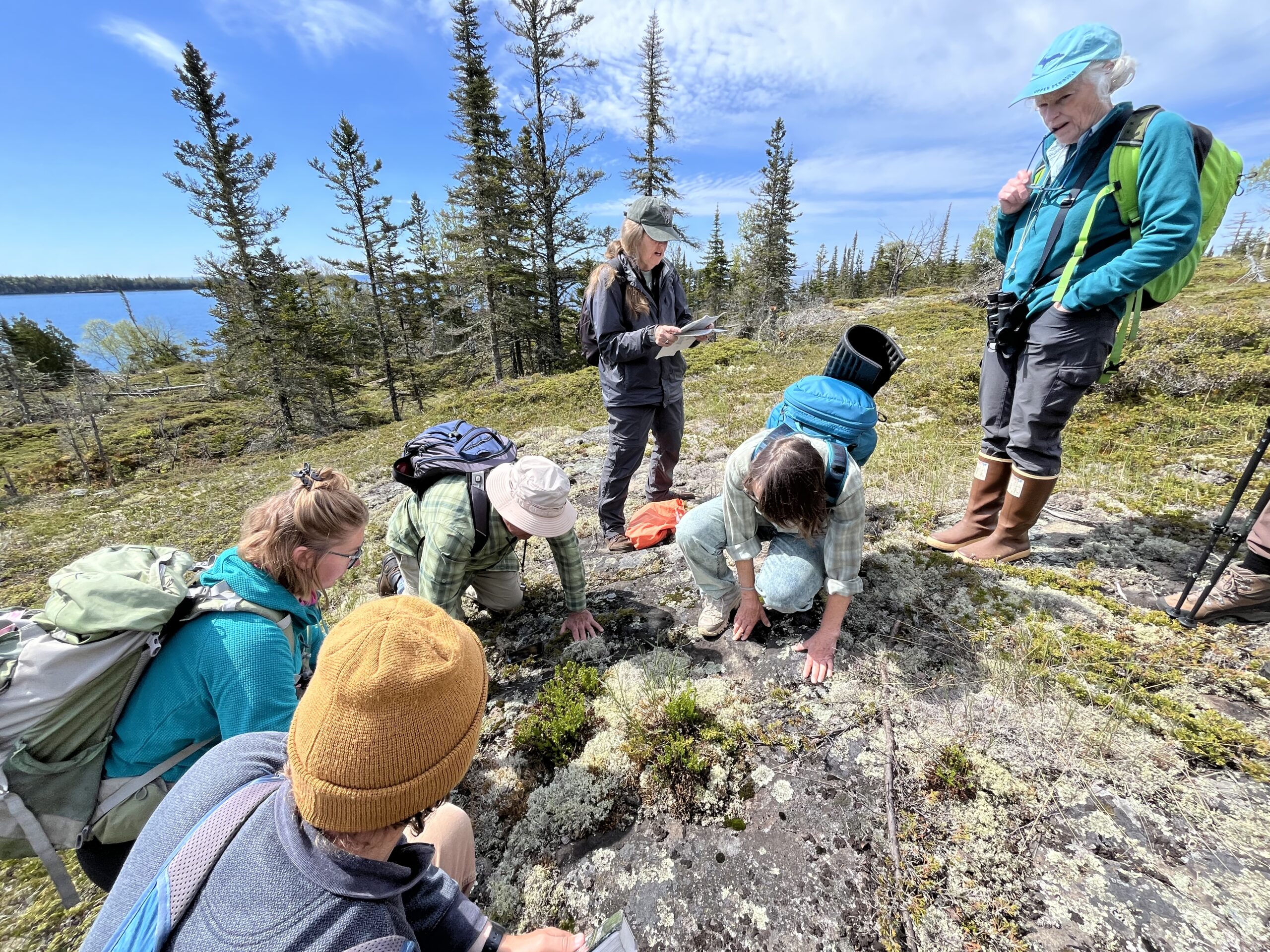 Isle Royale 3.0 D7 - Botany