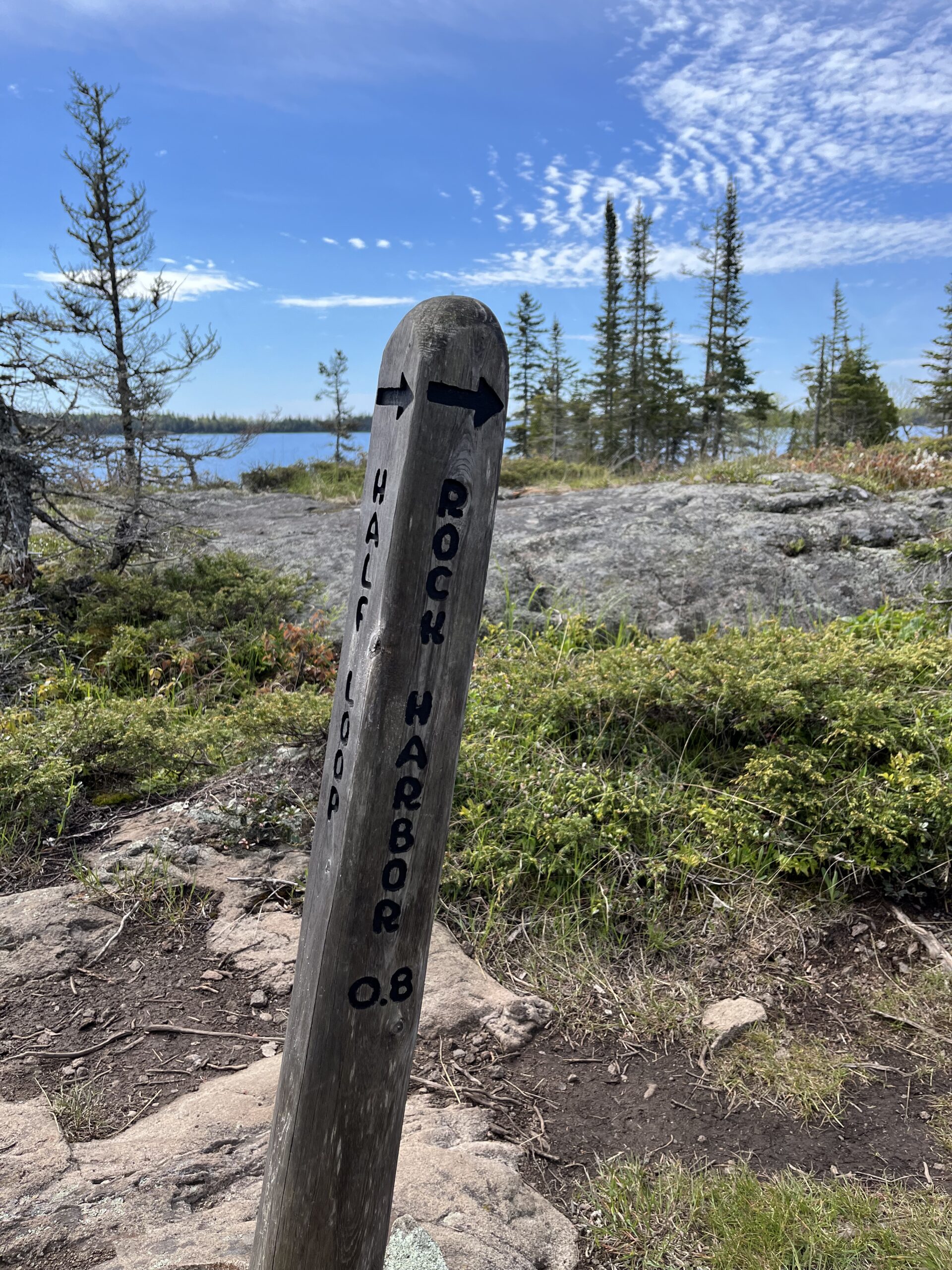 Isle Royale 3.0 D7 - Botany