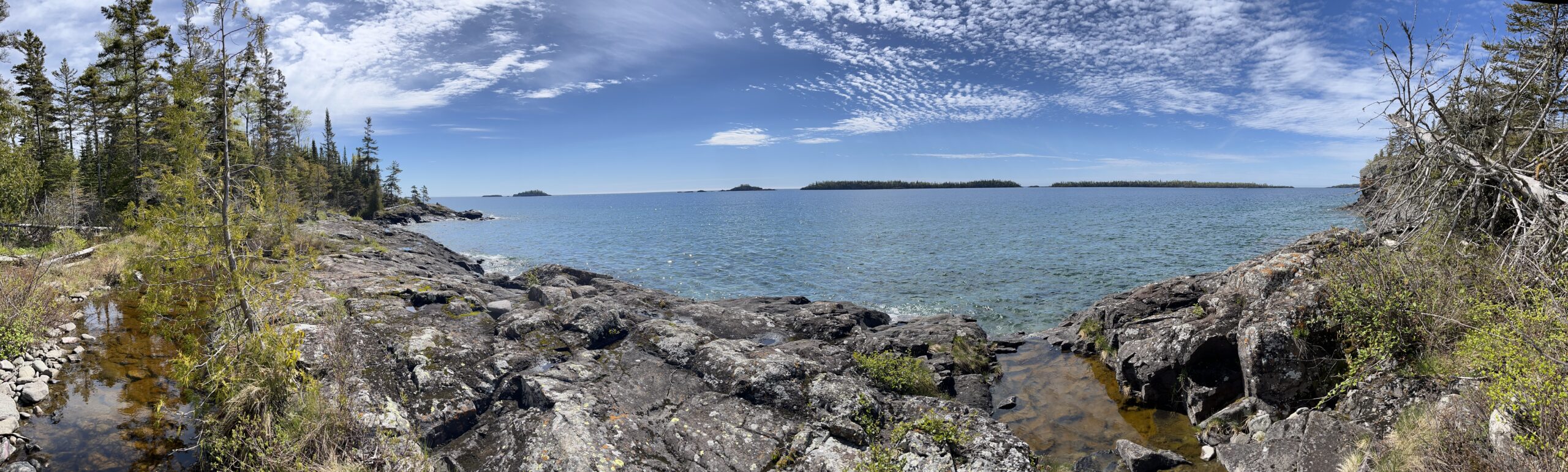 Isle Royale 3.0 D7 - Botany