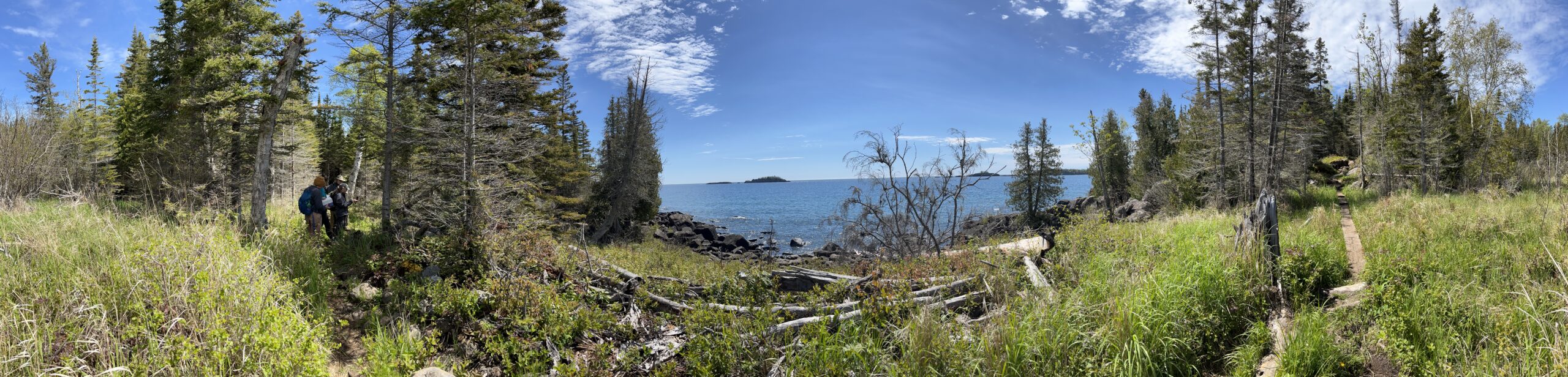 Isle Royale 3.0 D7 - Botany