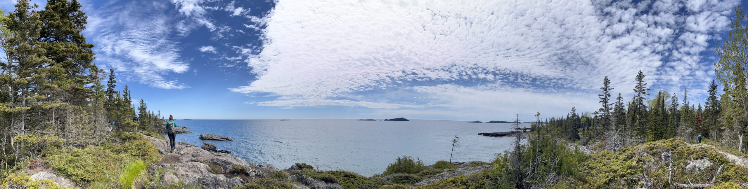 Isle Royale 3.0 D7 - Botany