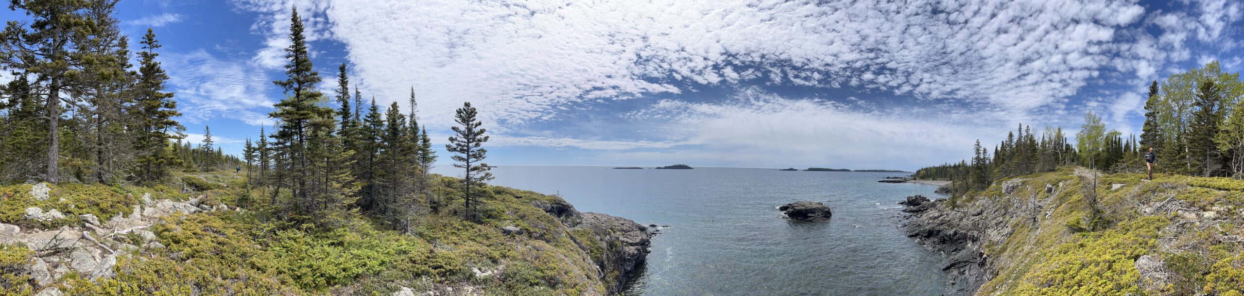 Isle Royale 3.0 D7 - Botany
