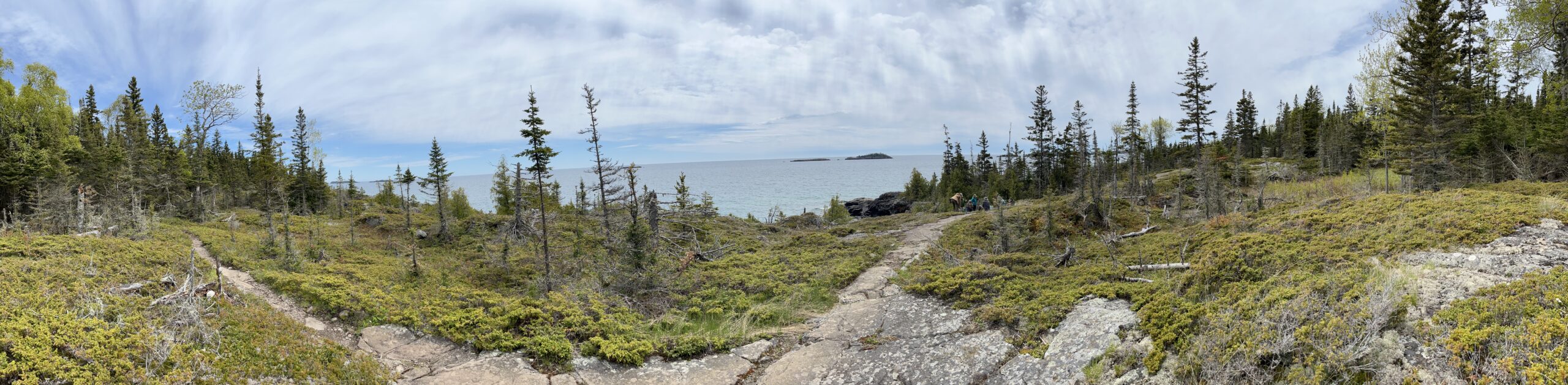 Isle Royale 3.0 D7 - Botany