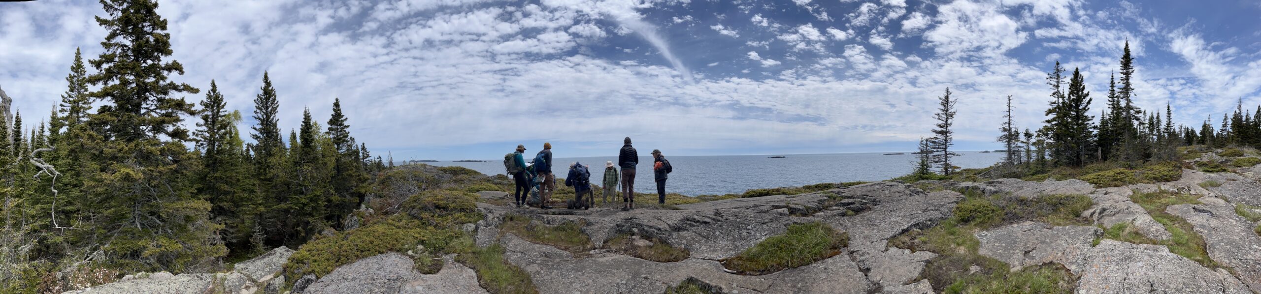 Isle Royale 3.0 D7 - Botany