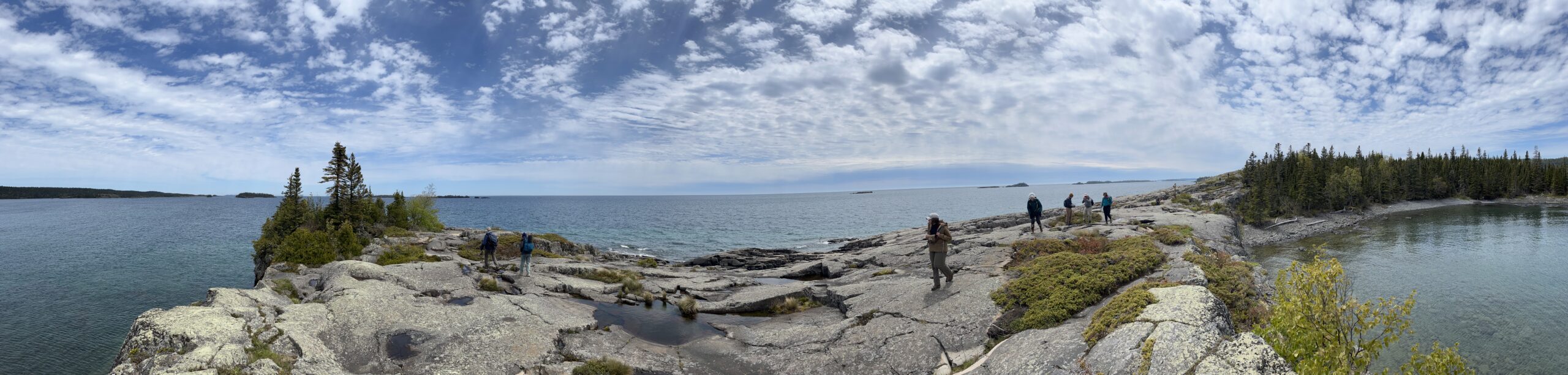 Isle Royale 3.0 D7 - Botany