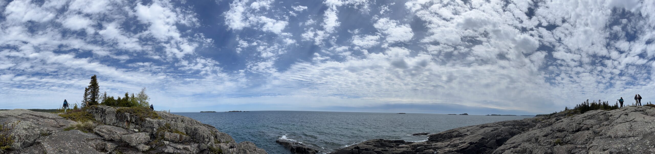 Isle Royale 3.0 D7 - Botany