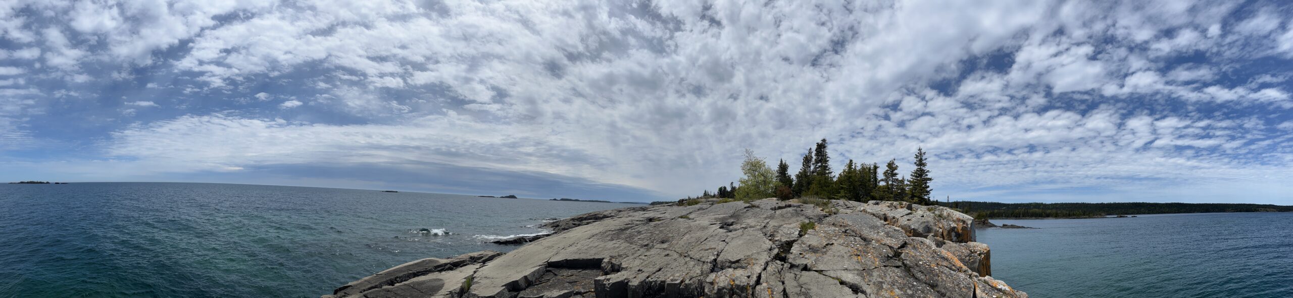 Isle Royale 3.0 D7 - Botany