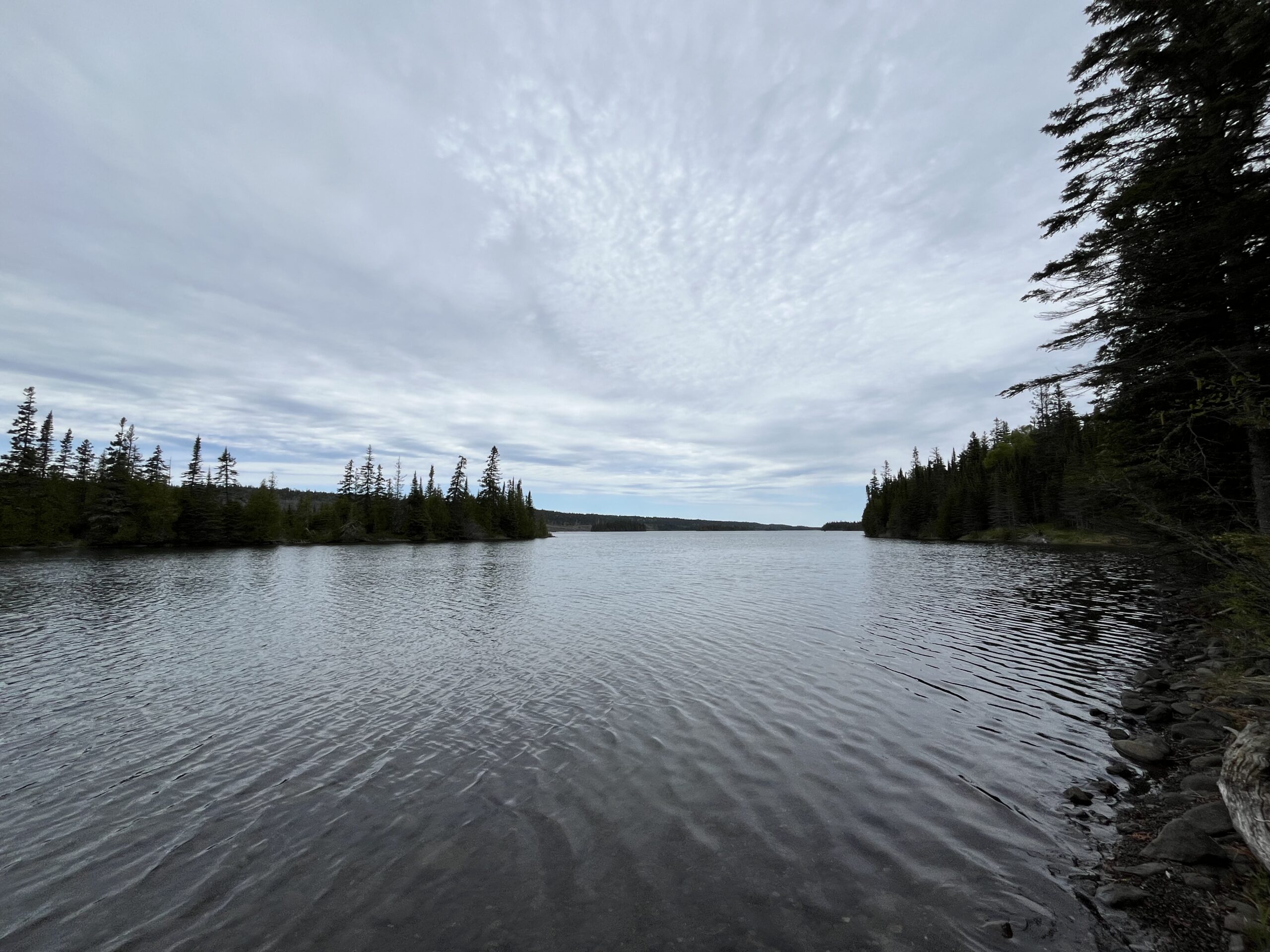 Isle Royale 3.0 D7 - Botany