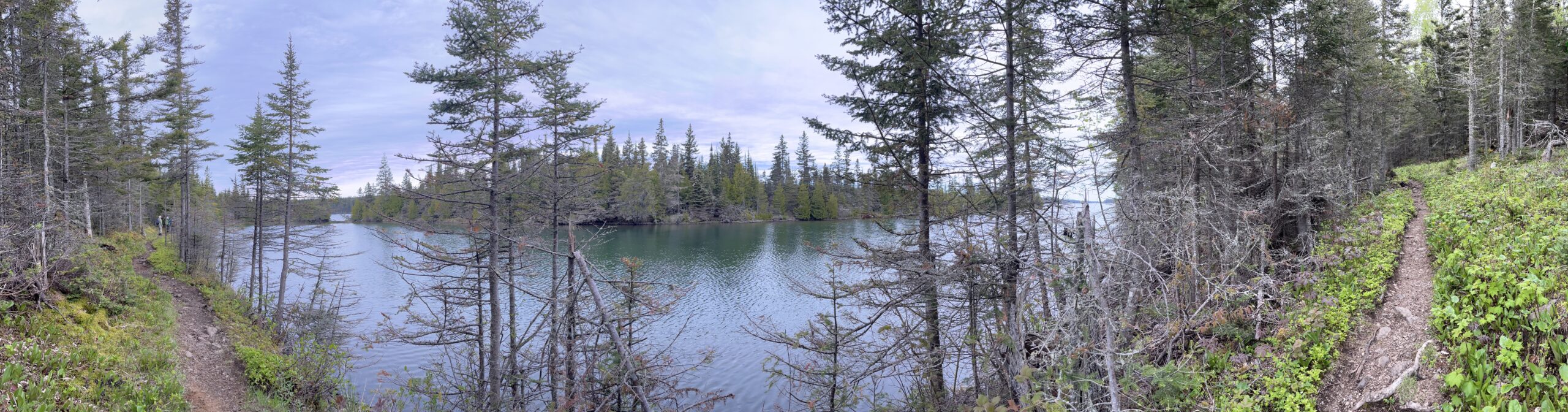 Isle Royale 3.0 D7 - Botany