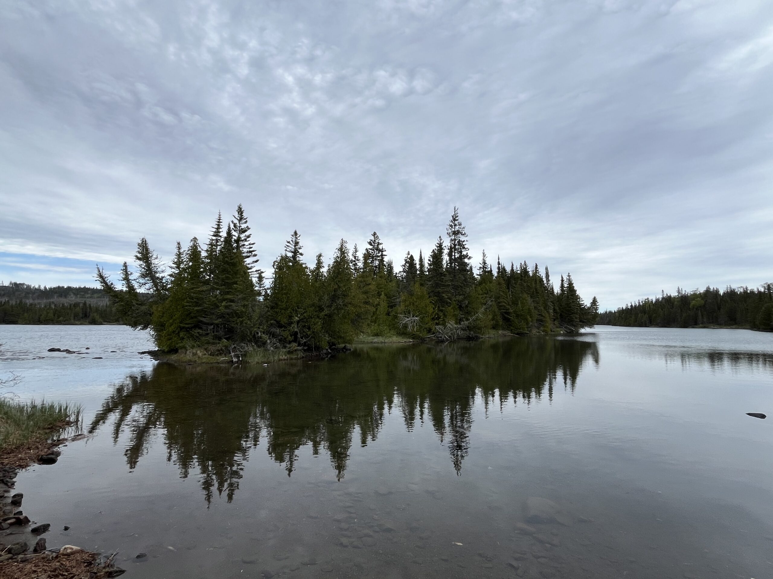 Isle Royale 3.0 D7 - Botany