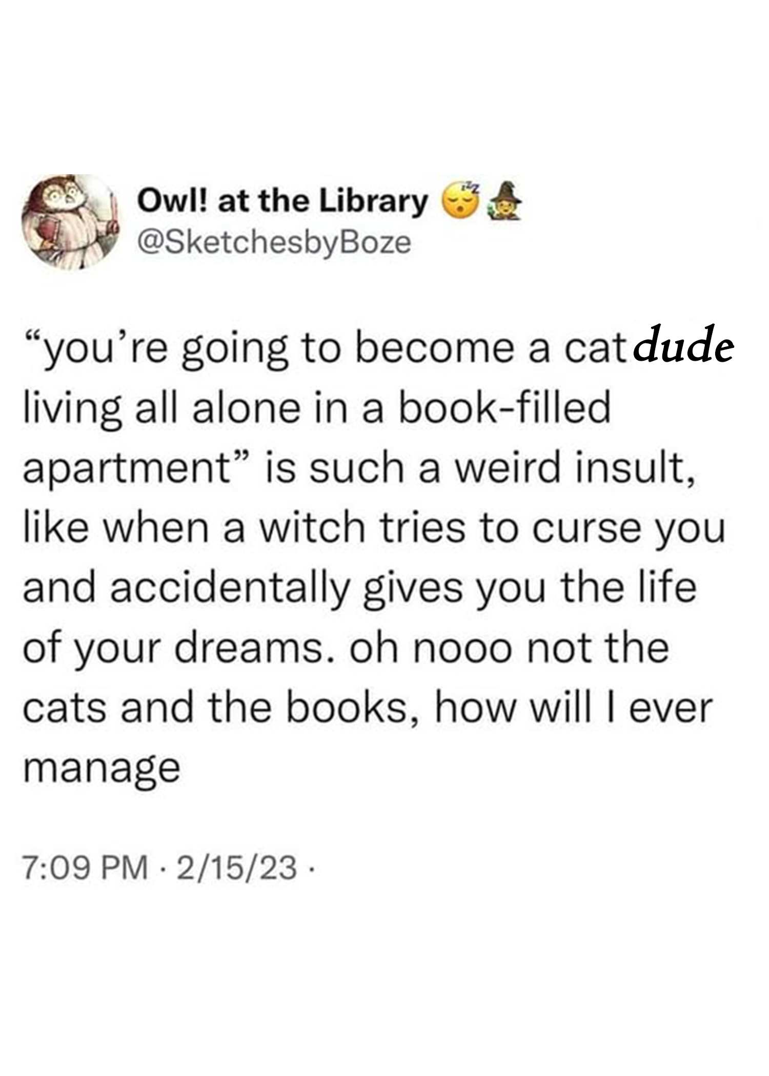 cat dude
