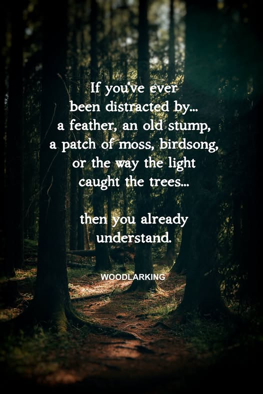 Then you already understand