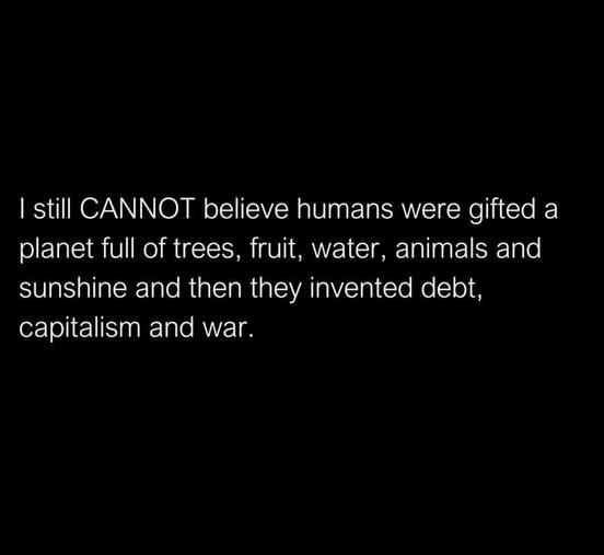 invented capitalism, debt and war