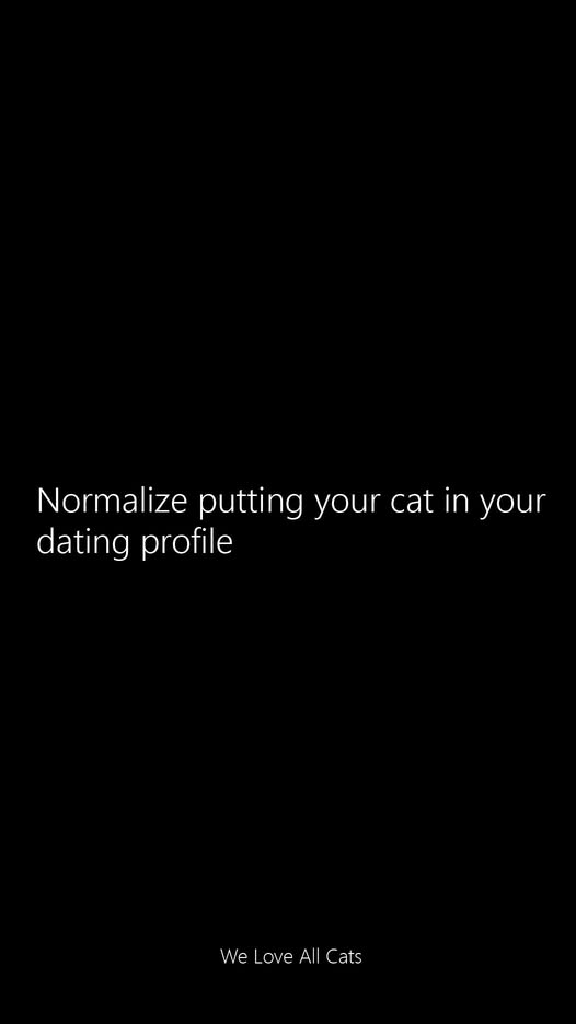 Normalize putting your cat