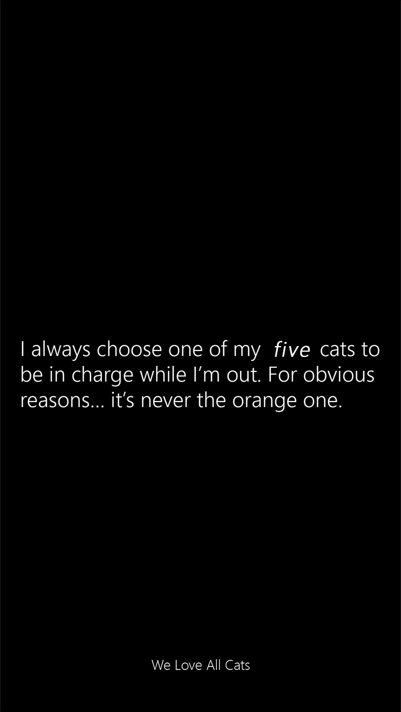 choose one of my kats
