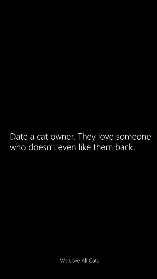 date a cat owner